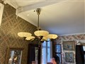 IMG_2586.jpeg